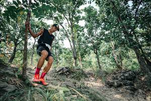 BIB: 
                            <button type="button" onclick="openModal(25982138)" class="btn btn-primary btn-sm float-right btn-popup" data-toggle="modal" data-target=".modal-high-quality">
                        <i class="fas fa-shopping-cart"></i> Add to Cart
                    </button>
                                            <button type="button" onclick="isThisMe(25982138, true)" class="btn btn-success btn-sm float-right btn-popup btn-isme hidden" data-toggle="tooltip" data-placement="bottom" title="นี่คือรูปของคุณใช่ไหม คลิกที่นี่เพื่อเอาเข้าอัลบั้ม">
                        <i class="fas fa-plus"></i> Add to album
                    </button>
                    <button type="button" onclick="isThisMe(25982138, false)" class="btn btn-warning btn-sm float-right btn-popup btn-isnotme hidden">
                        <i class="fas fa-ban"></i> Remove from album
                    </button>